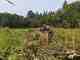 Three beaver dam analogs were installed Woods Creek, a tributary of the Cispus River, Washington