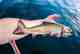 Photo: Matthew Reilly Maine brook trout