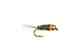 Umpqua's Frenchie Umpqua's Frenchie