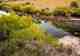 arroyo verde | fly fishing rio traful | patagonia | argentina