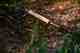 helios 50th anniversary fly rod