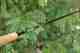 G. Loomis NRX+ LP fly rod (photo: Chad Shmukler). G. Loomis NRX+ LP fly rod