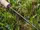 Photo: Cosmo Genova sage trout ll fly rod