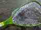 Photo: Spencer Durrant. tenkara rod co carbon fiber net