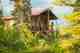 One of the guest cabins at Royal Wolf Lodge (photo: Earl Harper). One of the guest cabins at Royal Wolf Lodge