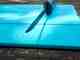 The Toadfish Stowaway Filet Knife system (photo: Johnny Carrol Sain). Toadfish Stowaway Filet Knife system