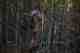 The price you pay for grayling (photo: Earl Harper). bushwhacking