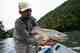 A Rio Palena brown trout (photo: Chad Shmukler). rio palena brown trout
