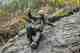 Photo: Andrew Burr. patagonia swiftcurrent women's waders