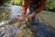 Brown Trout - Lower Malleo River - Patagonia