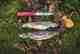Photo: Tom Hazelton on killing trout