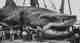 wildlife hoax images ai 