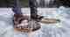 Photo: Tom Hazleton snowshoes