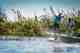 Photo: Gareth Reid tigerfish fly fishing