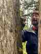 Josef Quitslund investigates a yellow-cedar tree near Petersburg, Alaska