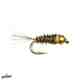 frenchie fly