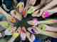 Photo: Trout Unlimited STREAM girls program