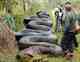 wildlife hoax images ai 