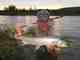 Big Sky Trout Big Sky Trout
