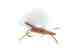 The Chubby Chernobyl (Photo: Umpqua Feather Merchants). The Chubby Chernobyl