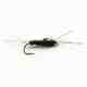 The Girdle Bug (photo: Umpqua). The Girdle Bug