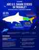 u.s. shark populations infographic