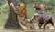 wildlife hoax images ai 
